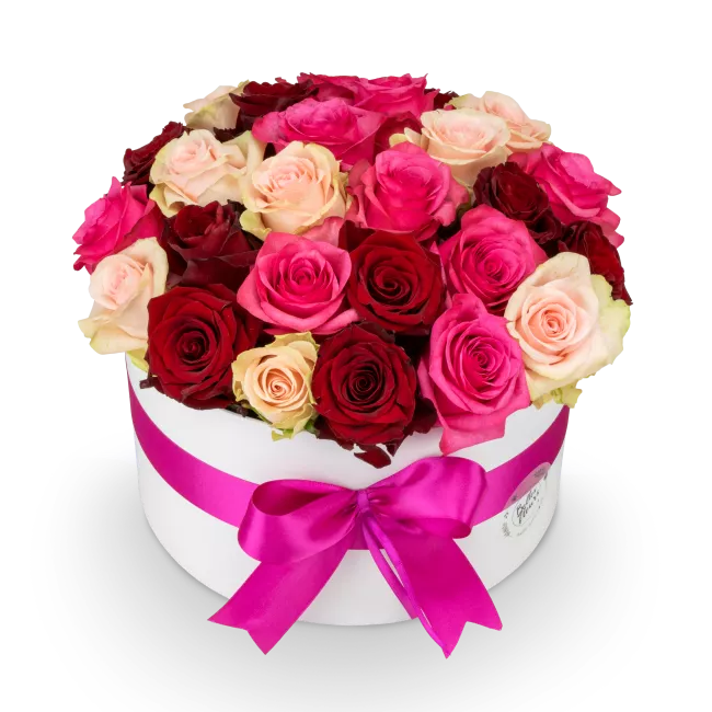 Květinový box růží